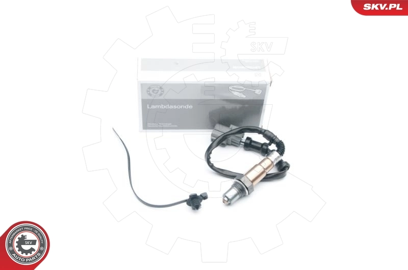 Oxygen Sensor